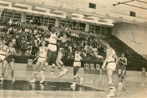 basketball in the gym