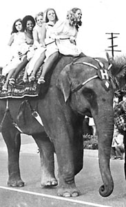 1971 homecoming parade